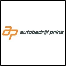 formatted_1691_res_Logo_Prins_Autos